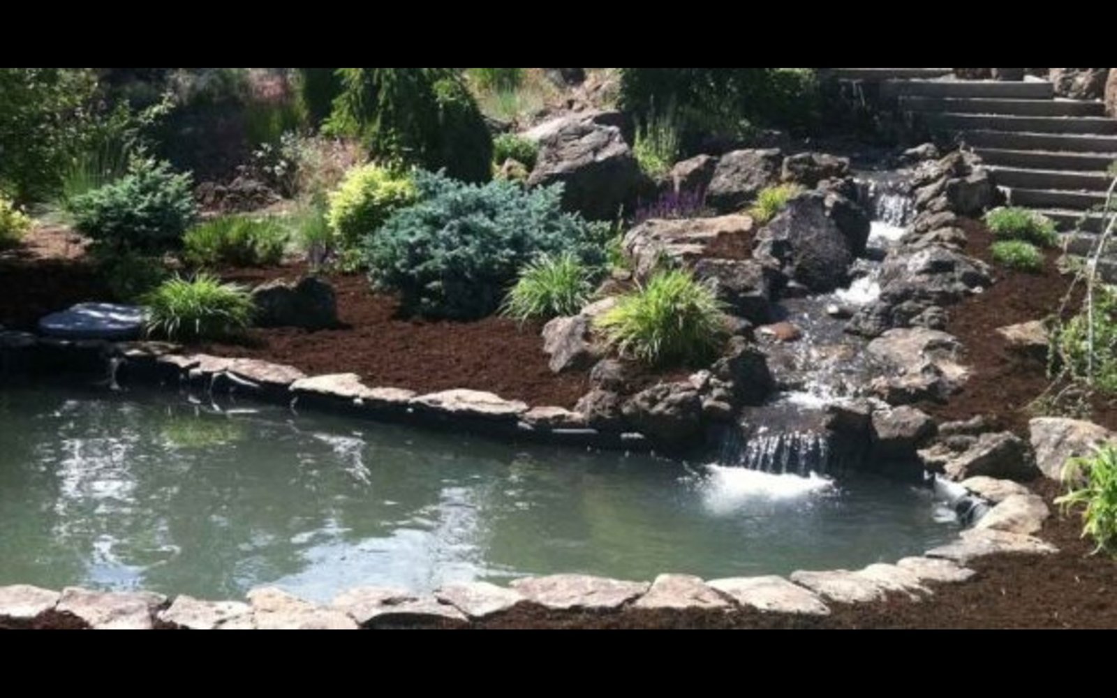 Advantage Custom Landscapin