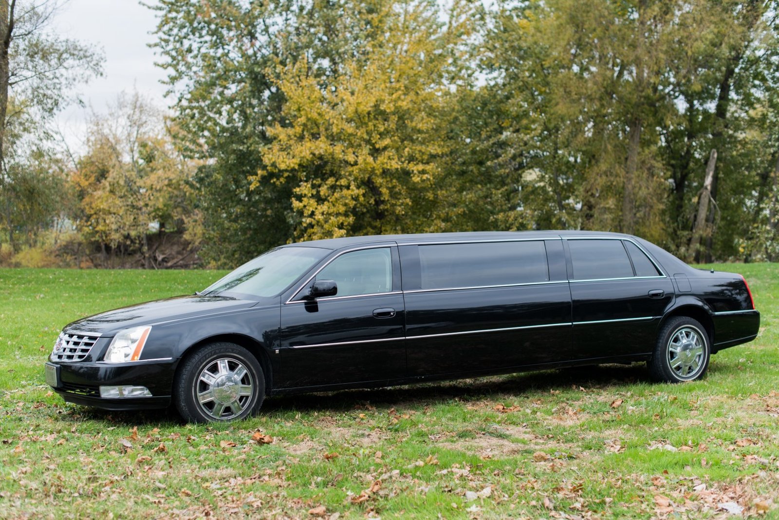 Advantage Limo